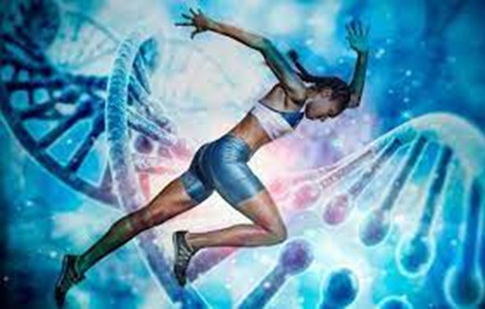 image 5 - Puede la genética predecir el talento deportivo: Explorando la influencia genética en el rendimiento atlético
